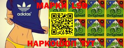 PSILOCYBIN Моздок