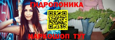 крисы Можайск