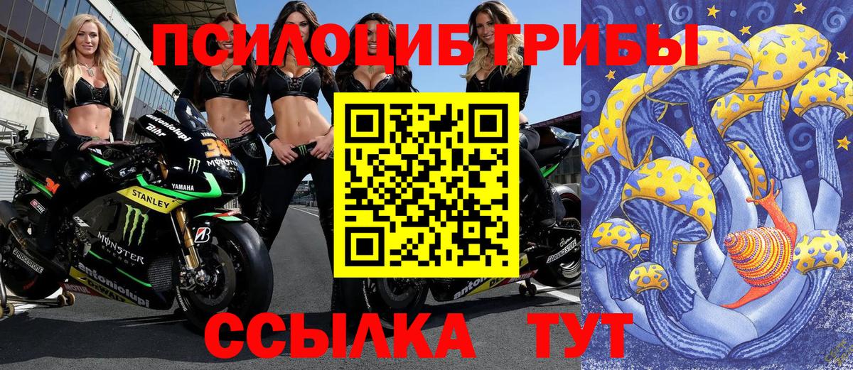 Феодосия  Галлюциногенные грибы мицелий  Галлюциногенные грибы Psilocybe  Вход с VPN 